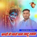 Nagari M Payaro Dham Khatu Shyam