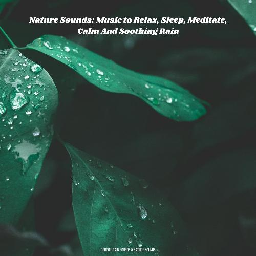 Fall Asleep Fast With Soothing Rain Sounds