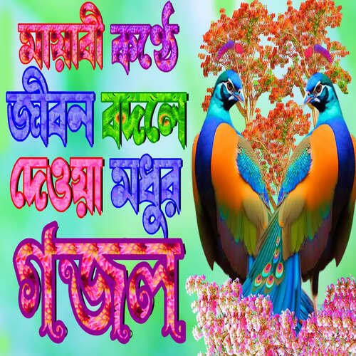 O Pagol Mono Re Thakte Somoy Akherater Bazar Koro