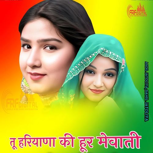 तू हरियाणा की हूर मेवाती
