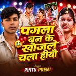 Pagla Ban Ke Khojle Chala Hiyo