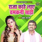 Raja Kahe Laye Chamkani Saree