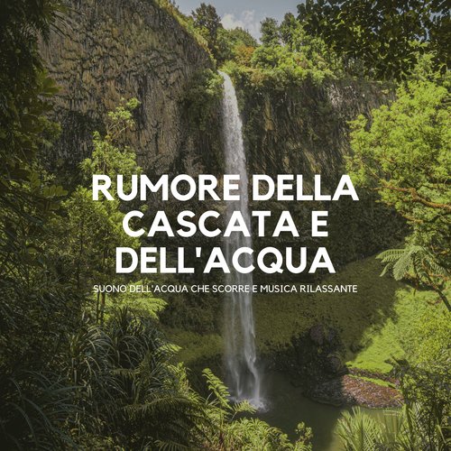 Polmoni della terra cover art