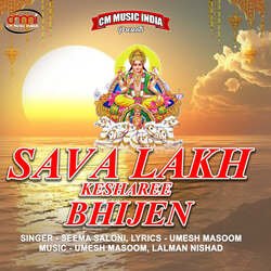 Sava Lakh Ke Sharee Bhijen-ND0RZTgAQUU