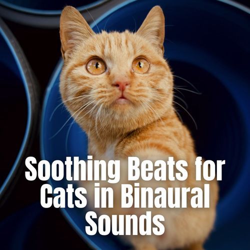 Kitty Zen Garden Sounds cover art