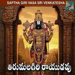 THIRUMALAGIRI RAYUDAVU