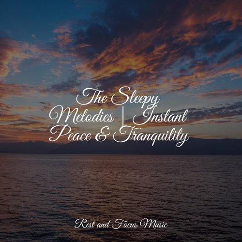 Chakra Shaman Healing cover art