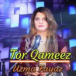 Tor Qameez
