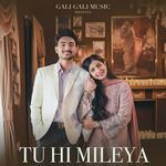 Tu Hi Mileya