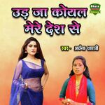 Uda Ja Koyal Mere Desh Se