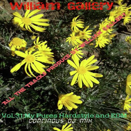 Vol.31 My Pures Hardstyle and EDM  (Continous Dj Mix)