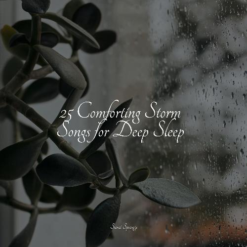 Rain, Storm and Thunder cover art