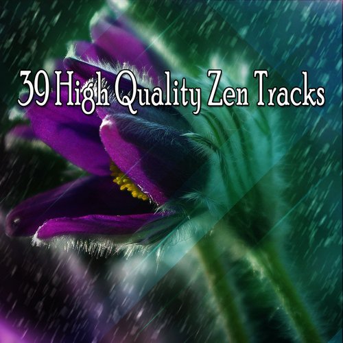 39 High Quality Zen Tracks