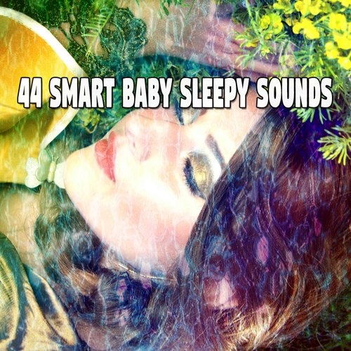 44 Smart Baby Sleepy Sounds