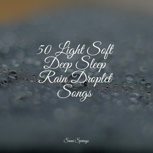 50 Light Soft Deep Sleep Rain Droplet Songs