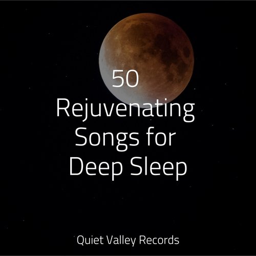 50 Rejuvenating Songs for Deep Sleep_poster_image