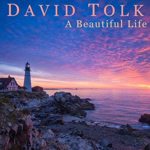 A Beautiful Life (feat. Steven Sharp Nelson) cover art