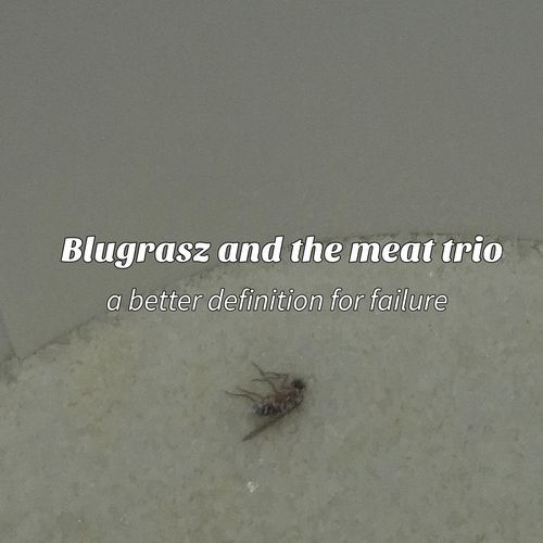 Trash cover art