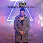 B3 (Bundle Bitches Bro)