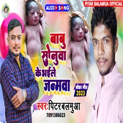 BABU SONUVA KE BHAILE JANMAWA (BHOJPURI)