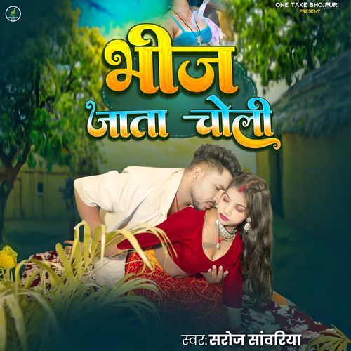 Bhij Jata Choli