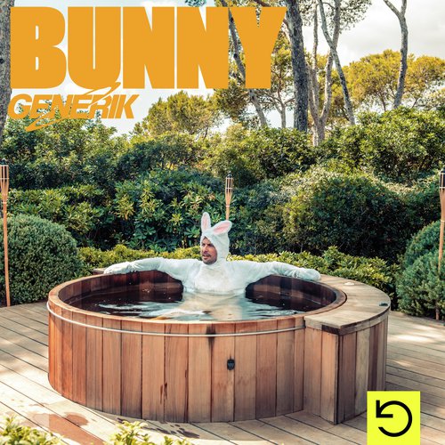 Bunny_poster_image