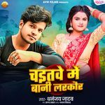 Chaitawe Me Bani Larkor