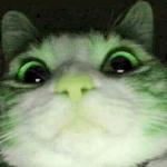 Chippi Chippi Chappa Chappa (Speed Up)