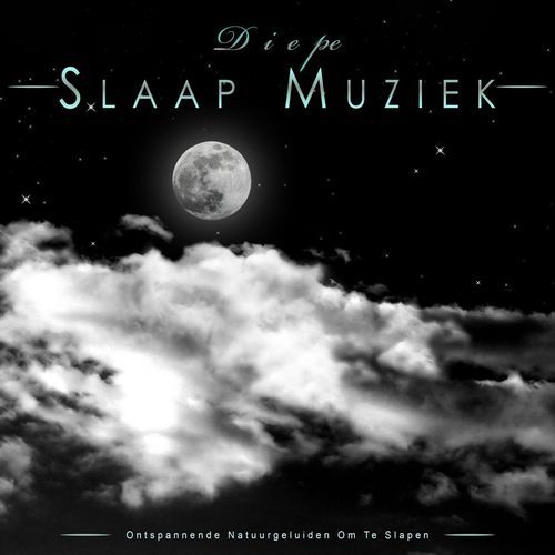 Diepe Slaap Muziek cover art