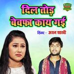 Dil Thod Bewafa Kaay Gayi