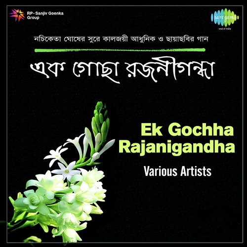 Ek Gochha Rajanigandha