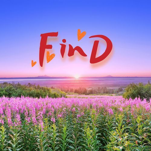 Find