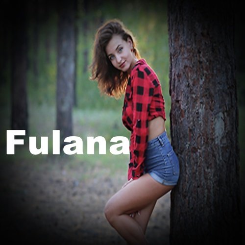 Fulana_poster_image