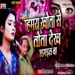 Hamara Tota Se Khota Dekh Ud Gail Ba