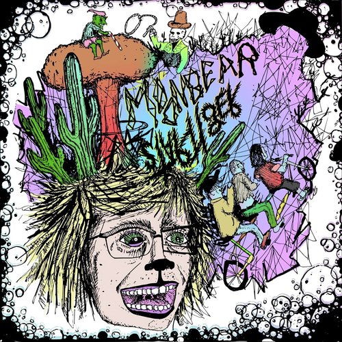 Hey Mister Plant!! cover art