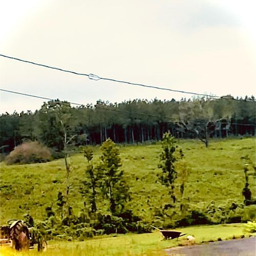 Landon cover art