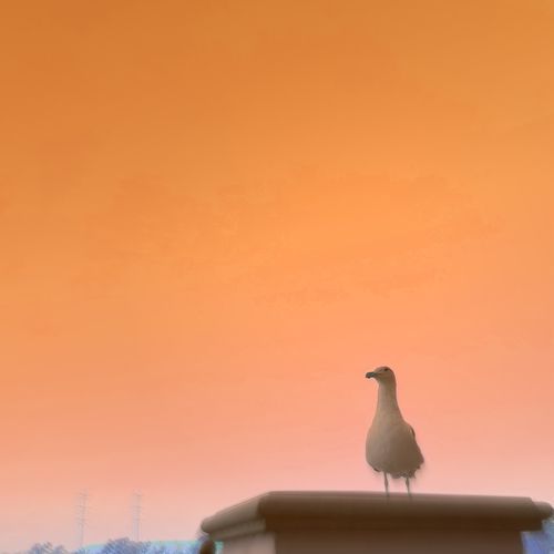 High Dive cover art
