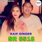 Kaif Singer SR 6518