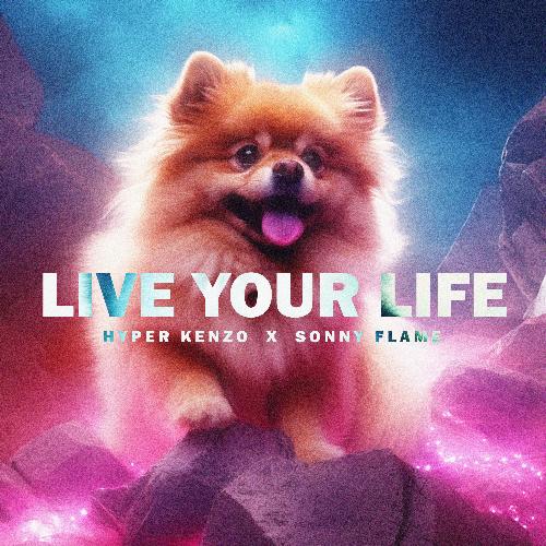Live Your Life (Techno Version)