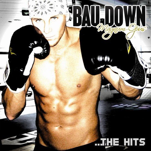 Bau On The Beats (feat. Twon & FAM) - BOTB Remix cover art