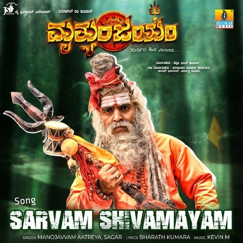 Sarvam Shivamayam
