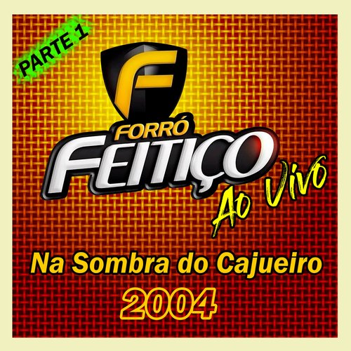Quero ser feliz - BANDA FORRÓ FEITIÇO cover art