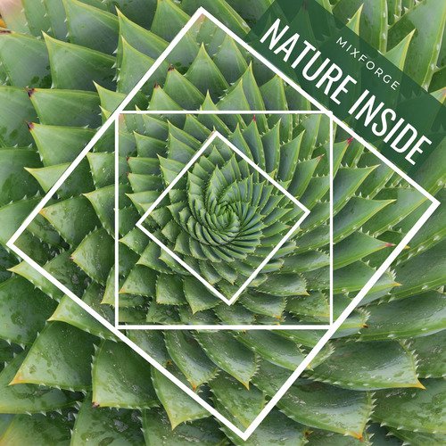 Aesthetic Vibes cover art