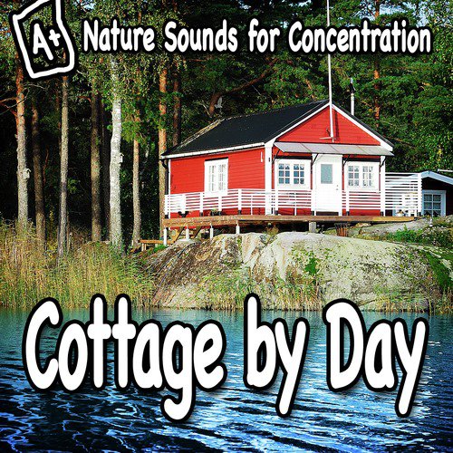 Nature Sounds for Concentration – Cottage by Day_poster_image