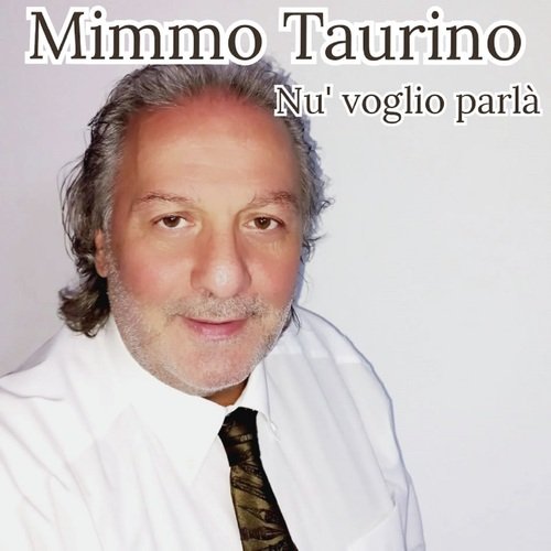 Nu' voglio parlà cover art