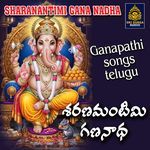 Sallani Thandri Ganpaiah