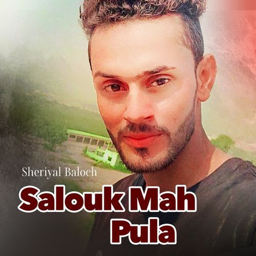 Aas Data Dil Ha cover art