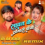 Sawan Ke Somari Piya (Remix)