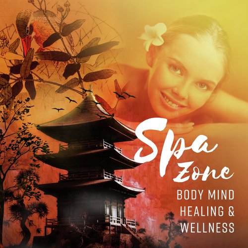 Spa Zone cover art