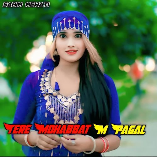 Tere Mohabbat M Pagal